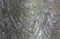 Hay On Wye fibreglass roof work